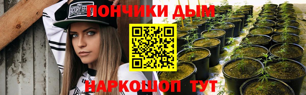 Бошки Шишки планчик  Канабис сатива  Вход с VPN  Ахтубинск 